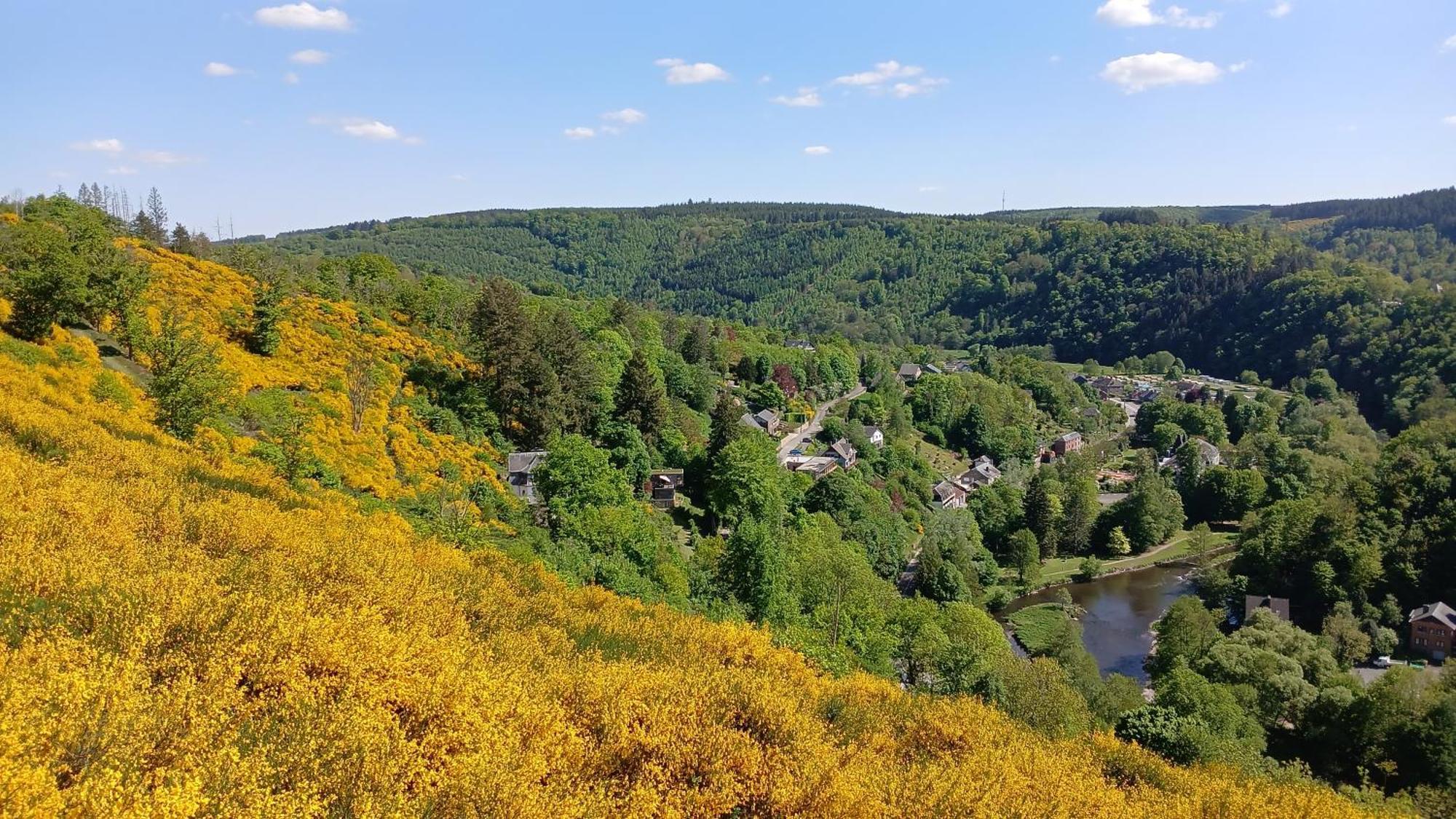 Apartmán L'Abri La-Roche-en-Ardenne Exteriér fotografie